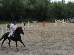 img_5915_web